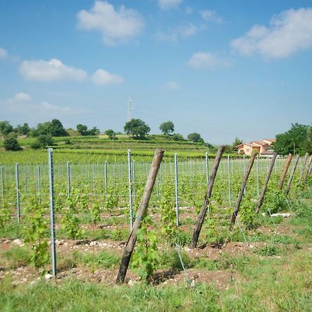 Agriturismo Albarello Сона Екстериор снимка